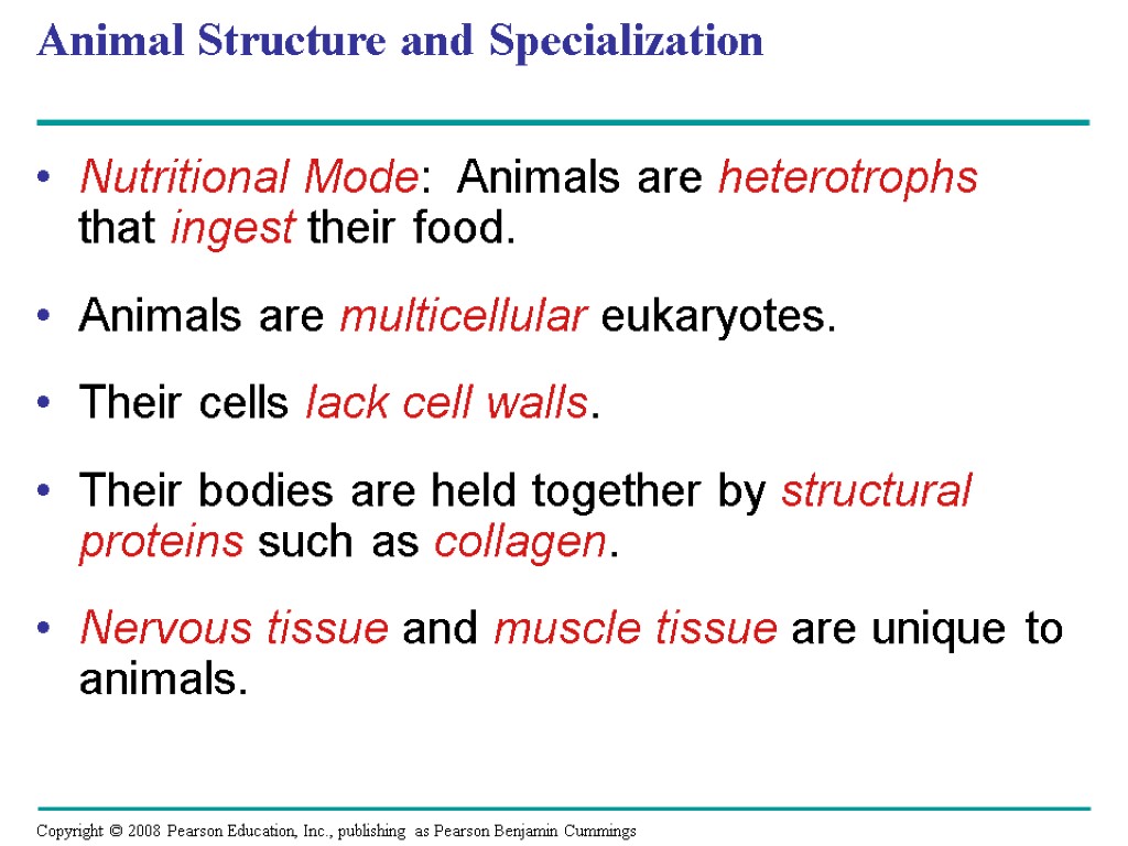 Animal Structure and Specialization Nutritional Mode: Animals are heterotrophs that ingest their food. Animals